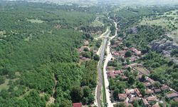 Kırklareli'de ormanlara girişler yasaklandı