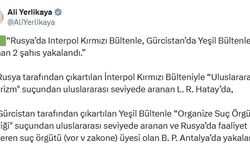 Kırmızı ve yeşil bültenle aranan 2 suçlu Türkiye'de yakalandı