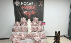 Kocaeli’de 397 bin sentetik ecza hap ele geçirildi; 1 kişi tutuklandı