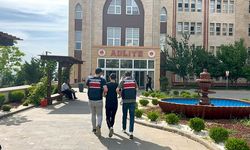 Köpeği motosiklete bağlayıp sürükleyen sürücü gözaltına alındı