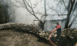 Kütahya'da 4 kümes yandı; 100 tavuk öldü
