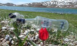Mangalcının çöpü, driftçinin lastik izinin harap ettiği yayla, bu bahar çiçeksiz kaldı