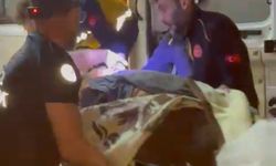 Mantar toplarken akrabasını vurdu; 'yanlışlıkla oldu' dedi