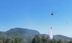 Marmaris’te orman yangını (2)