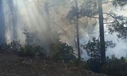 Marmaris’te orman yangını / Ek fotoğraflar
