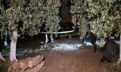 Mustafa'nın bağ evinde baltayla öldürülmesinde 2 gözaltı