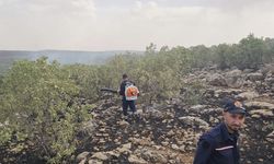 Nusaybin'de otluktaki yangın söndürüldü