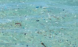 Okyanusun her katmanında mikroplastik bulundu