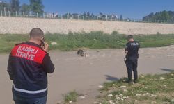 Osmaniye'de sel temizliği / Ek fotoğraflar