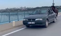 Otomobile bağladığı at ile ilerledi; 2 gözaltı