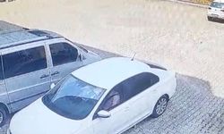 Otomobilin altında kalan yavru kedi öldü, annesi başından ayrılmadı