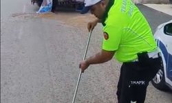 Polis, traktörden düşerek yola saçılan kuzu yemlerini topladı