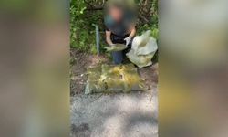 Sakarya'da uyuşturucu operasyonu; 4 gözaltı