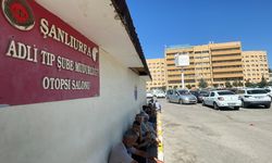 Şanlıurfa’da otomobilin çarptığı çoban öldü
