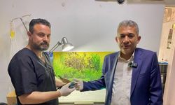 Sırbistan'da halkalanan gökkuzgun Denizli'de yaralı bulundu