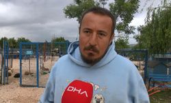 Sokağa terk edilmiş hayvanlara, 'Emekli Hayvan Çiftliği’nde' müzikli terapi