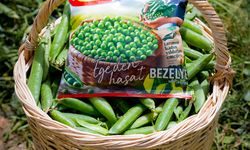 ‘Tarımın Kadın Yıldızları’nın emeğiyle SuperFresh ‘Ege’den Hasat Bezelye’