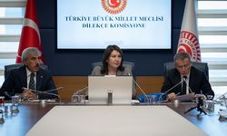 TBMM Dilekçe Komisyonu Başkanı Karamık: Komisyonumuza 18 bin 949 dilekçe ulaştı