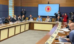 TBMM Yurt Dışı Türkler ve Akraba Toplulukları Alt Komisyonu toplandı