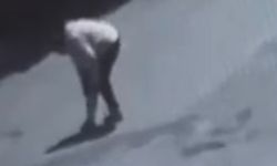 Tekirdağ'da sokak köpeğinin ısırdığı kadın yaralandı; o anlar kamerada