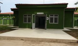 TSK'nın 'kahraman köpekleri', 2 yıl boyunca 8 farklı branşta eğitiliyor / Ek fotoğraflar