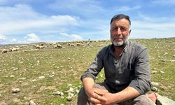 Tunceli'de ‘Şafaklılar’ın 3 bin rakımlı yaylalara yolculuğu başladı