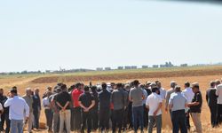 TZOB Genel Başkanı Bayraktar: 65 vilayetimiz don felaketinden maalesef zarar gördü