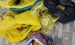 Usulsüz hayvan sevk belgesi düzenleyenlere operasyon: 9 gözaltı