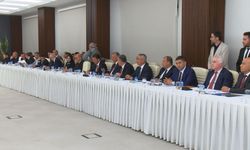 Vali Şahin: Ankara'da 3 ayda 7 bin 452 köpek toplanıp, bakım evlerine yerleştirildi