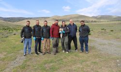 Verici takılan akbaba, 3 yılda 101 bin 230 kilometre uçtu