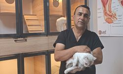 Veteriner hekim sokak hayvanlarını tedavisini yapıp sahiplendiriyor
