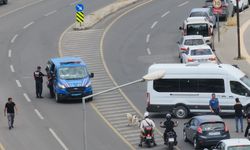 Yanan kamyonette cesetleri bulunan baba-oğul soruşturmasında 7 şüpheli adliyede