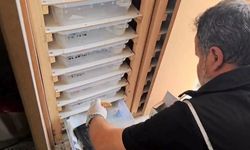 Yasa dışı egzotik hayvan bulunduran şüphelilere 472 bin TL ceza
