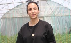 Yüksekovalı kuzenler Neslihan ile Zeynep, kurdukları serada sebze yetiştiriyor