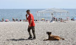 Zeyna, Tina ve Bulut, afetlerde hayat kurtarmak için eğitiliyor