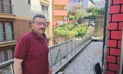 Zonguldak’ta iç organları çıkarılmış 2 kedi için polis inceleme başlattı