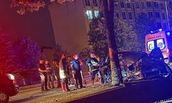 Ağaca çarpan otomobildeki İpek hayatını kaybetti / Ek fotoğraflar