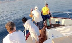 Alanya'da yunuslar tekneye eşlik etti, turistler izledi