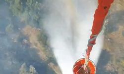 Aydın'da, tarım arazisindeki yangın 1,5 saatte söndürüldü