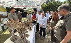 Babalar, çocukları ile çadır kurup kamp yaptı