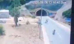 Bakan Yerlikaya: Kurban Bayramı’nın 3'üncü gününde 2 ocağa daha ateş düştü