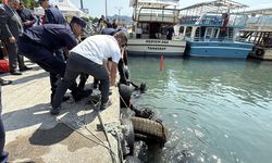 Bartın'da deniz temizliği; florasan lamba ve eski araç lastikleri çıktı /Video eklendi