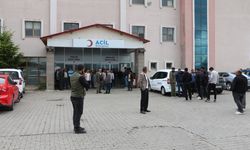Bingöl’de kamyonla çarpışan hafif ticari aracın sürücüsü öldü