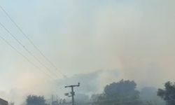 Bodrum'da maki yangını