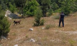 Bursa'da kayıp öğrenci Burak'ı arama çalışmaları 3'üncü gününde / Ek fotoğraflar