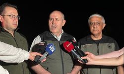 Çanakkale'de tarım arazisinde yangın (2)