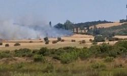 Çanakkale'de tarım arazisinde yangın