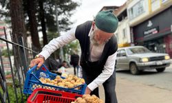 ‘Cevizci Dede’ çalışma azmiyle gençlere örnek oluyor