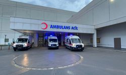 DEM Parti Van Milletvekili Dindar, trafik kazasında yaralandı