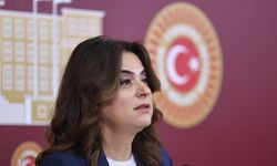 DEM Parti'li Koçyiğit: Bütün partiler İmralı'ya gitmeli
